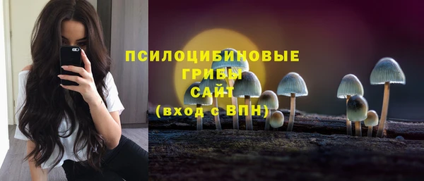 ALPHA PVP Белая Холуница
