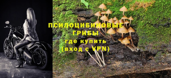MESCALINE Нефтегорск