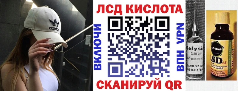 купить   Каргополь  мега вход  Марки 25I-NBOMe 1500мкг 